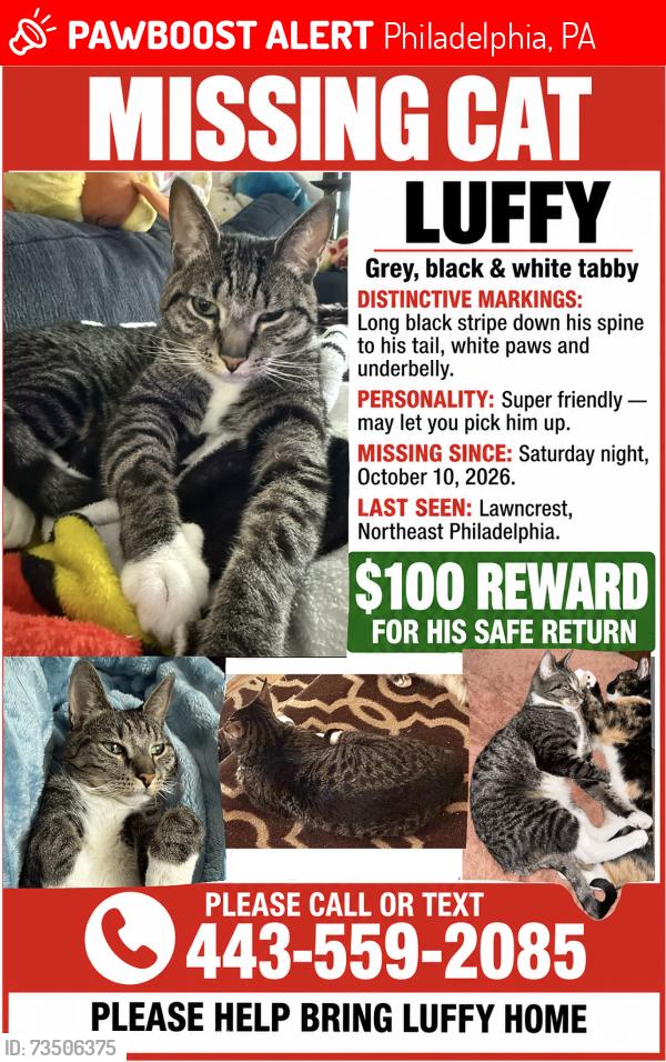 Lost Male Cat last seen Hasbrook ave, Newtown ave, Philadelphia, PA 19111