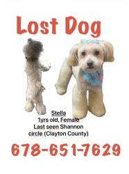 Reunited Female Dog last seen McDonough Rd, Bonanza, GA 30228