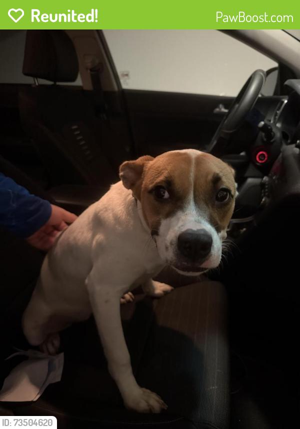 Reunited Female Dog last seen Barlett Rd and Rosemary Ocean Dr, Waller County, TX 77493