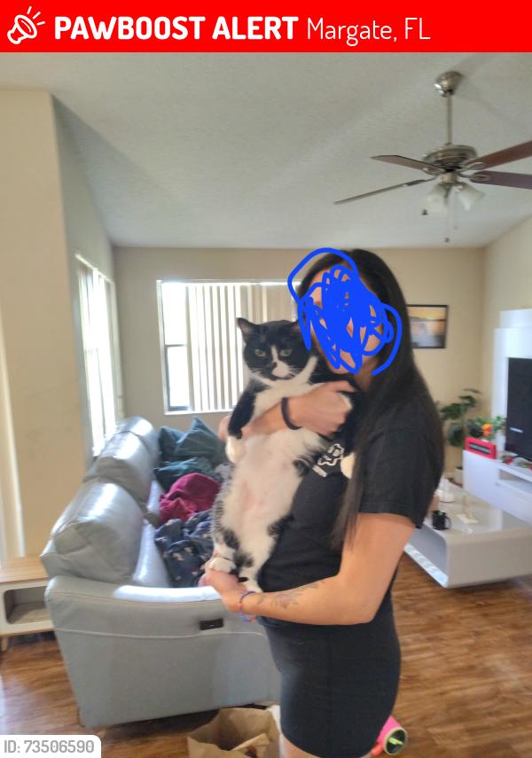Lost Male Cat last seen Margate Blvd and Rock Island, Margate, FL 33063
