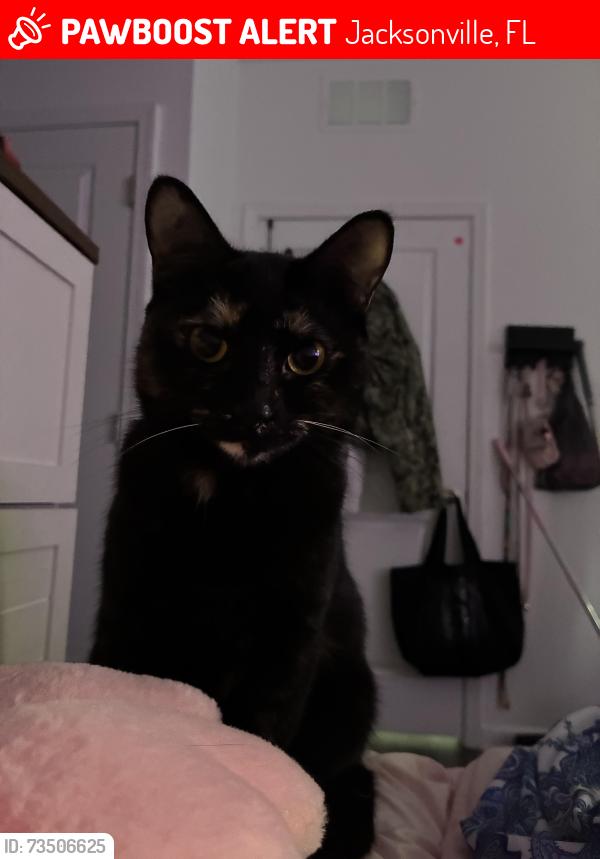 Lost Female Cat last seen Grass, Jacksonville, FL 32210