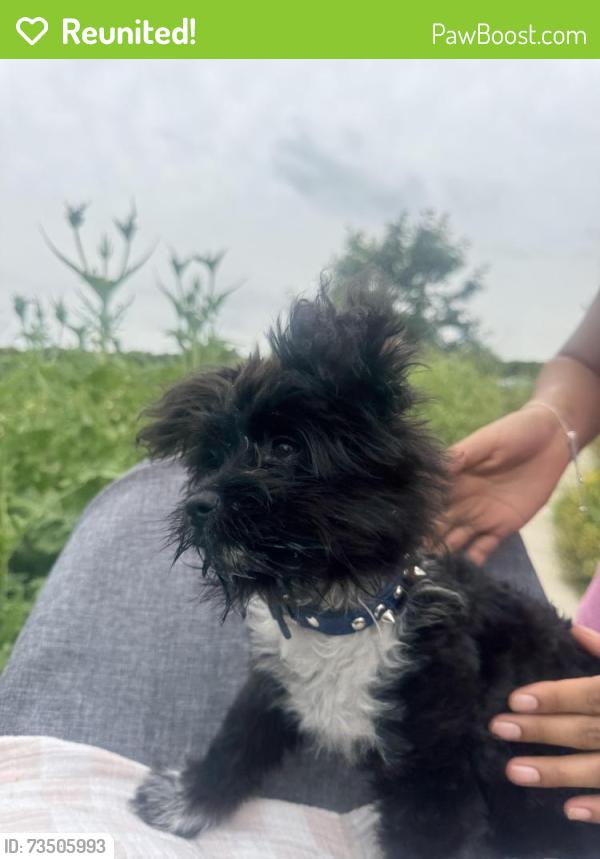 Reunited Male Dog last seen Red’s Cafe, Haysville, KS 67060