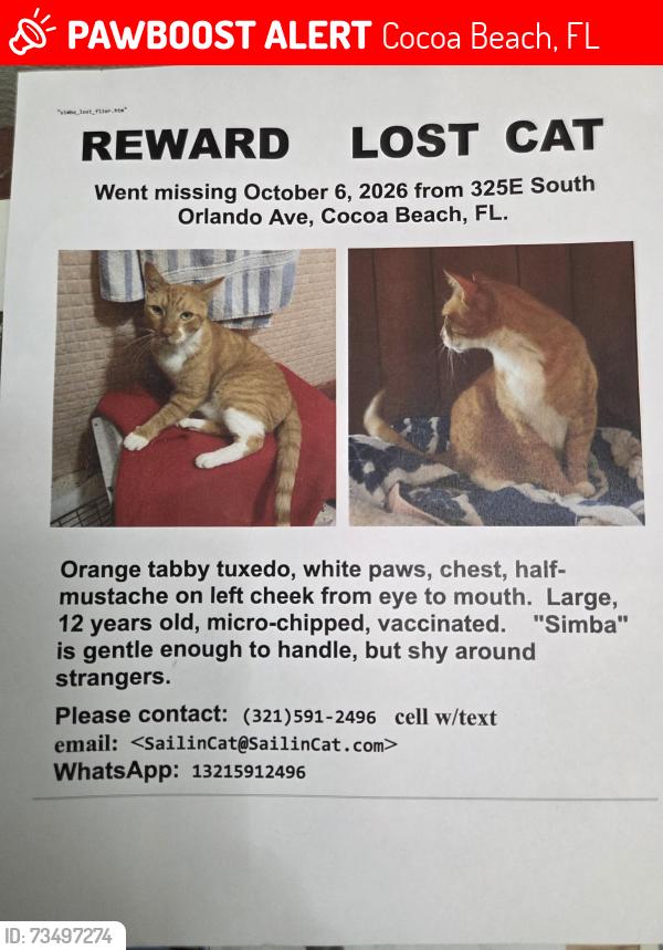 Lost Male Cat last seen Between 3rd St. S. AND 4th St. S, Cocoa Beach, FL 32931