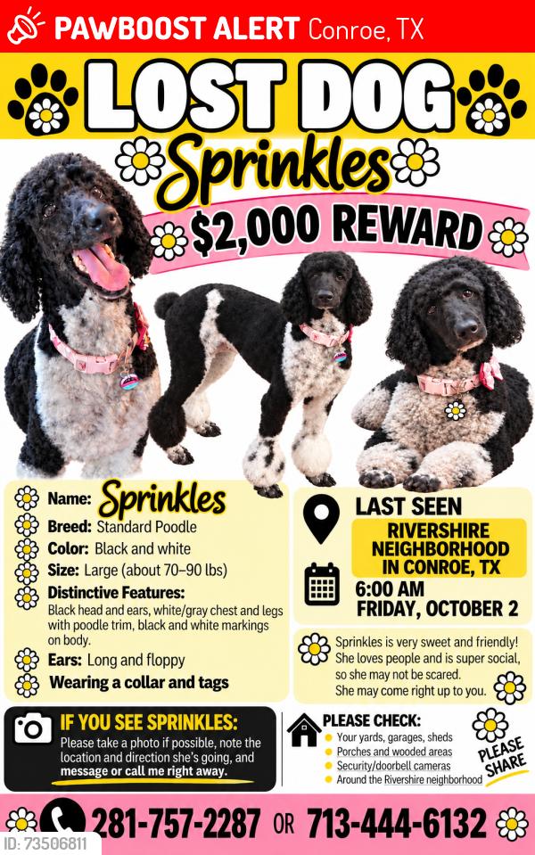 Lost Female Dog last seen Near Lumber, Conroe, TX 77304