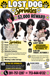 Lost Female Dog last seen Near Lumber, Conroe, TX 77304