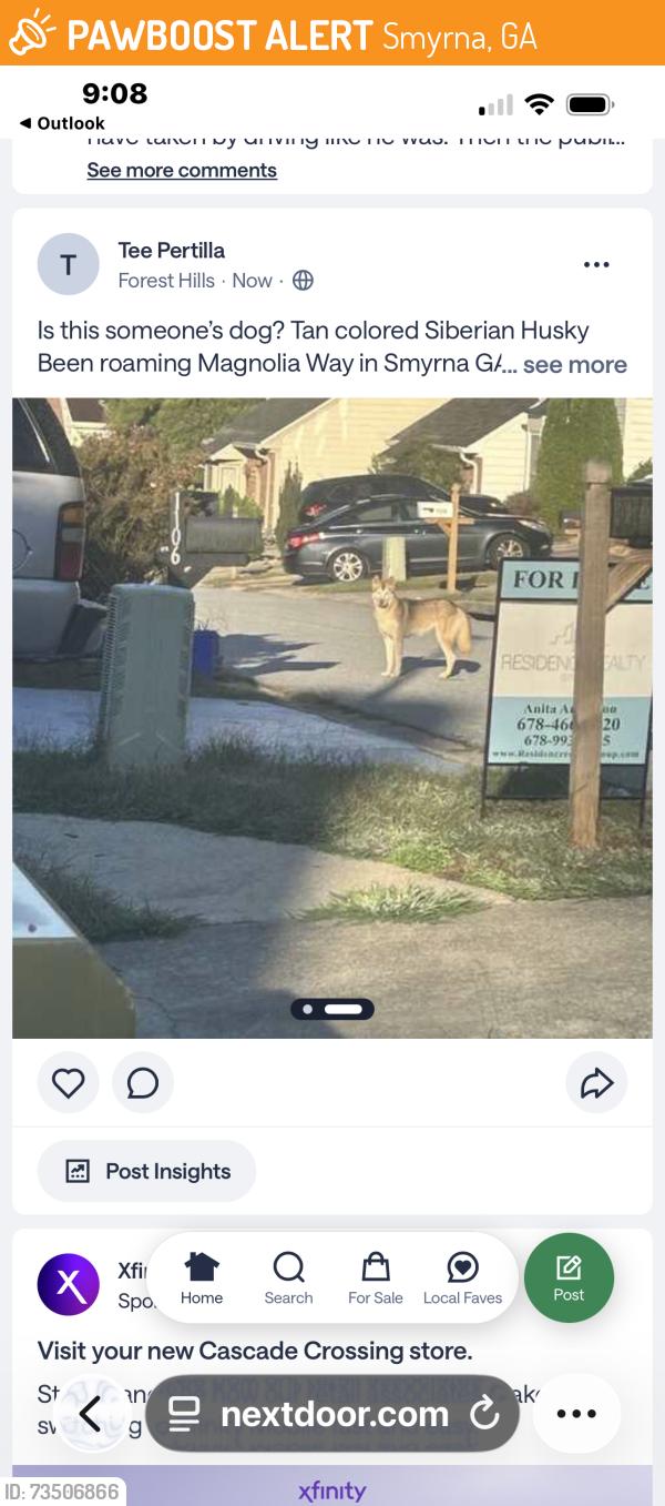 Found/Stray Unknown Dog last seen Concord rd Smyrna GA, Smyrna, GA 30082