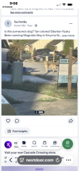 Found/Stray Unknown Dog last seen Concord rd Smyrna GA, Smyrna, GA 30082