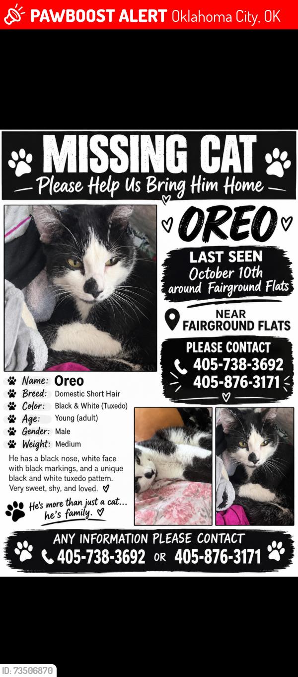 Lost Male Cat last seen By fairground flts apmts, Oklahoma City, OK 73107
