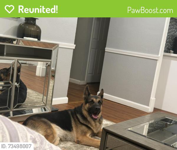 Reunited Male Dog last seen San Bernardino ave and oleander ave, Fontana, CA 92335