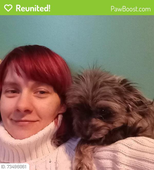 Reunited Female Dog last seen Simcoe Street South, Oshawa, ON 