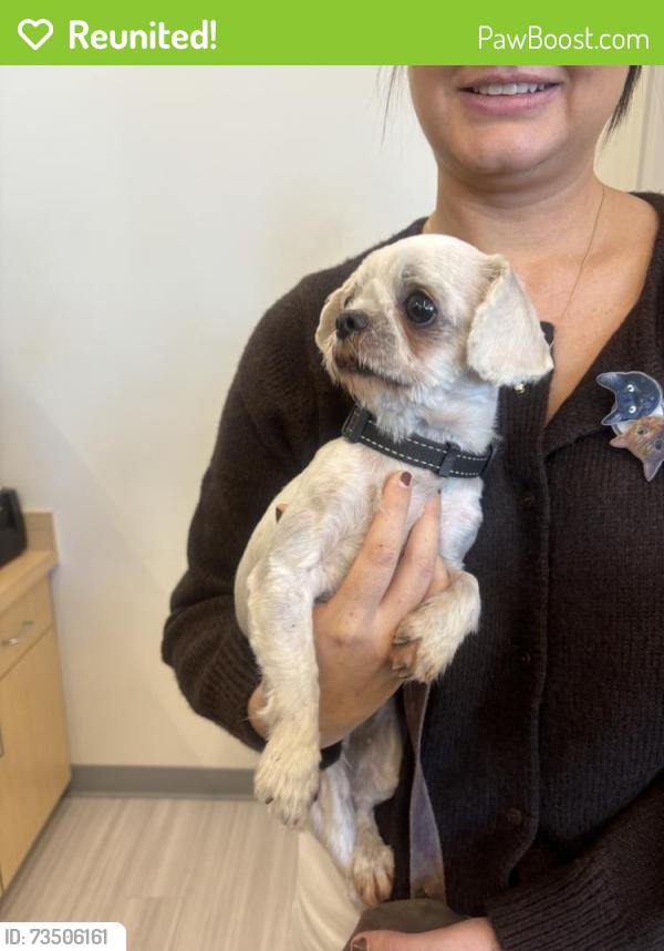 Reunited Female Dog last seen Vista, CA, USA, Vista, CA 92083