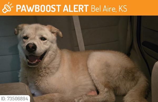 Found/Stray Male Dog last seen Eagle Lake Park, Bel Aire, KS 67220