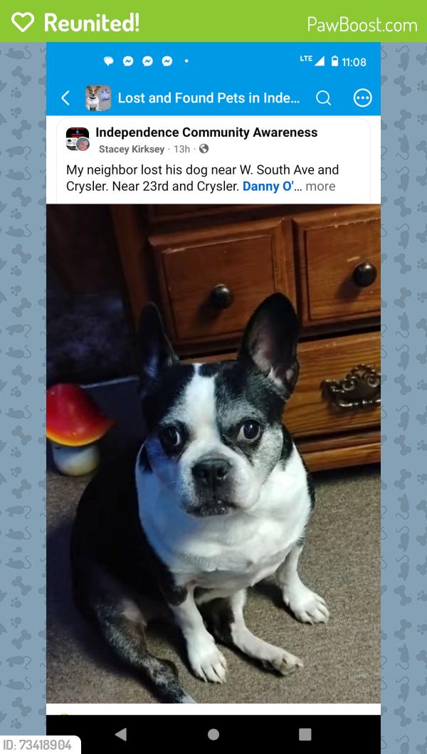 Reunited Female Dog last seen South St and Crysler Indep. Mo, Independence, MO 64052
