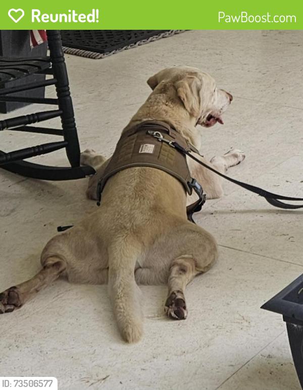 Reunited Male Dog last seen sw 50 street, 62 avenue, Miami, FL 33155