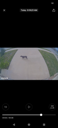 Found/Stray Unknown Dog last seen Echo Lake Court and Lake Murray Ln, Cleburne, TX 76033