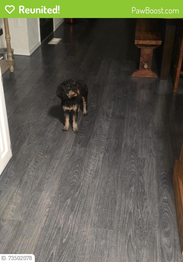 Reunited Female Dog last seen Rankin, Edmond, OK 73034