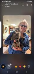Found/Stray Unknown Cat last seen Ballanger Commons apmts on the trail Shoreline, Shoreline, WA 98133