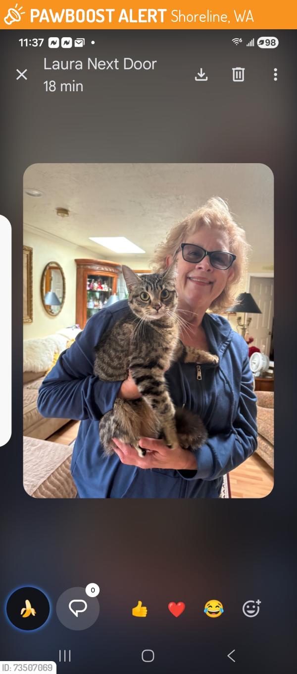 Found/Stray Unknown Cat last seen Ballanger Commons apmts on the trail Shoreline, Shoreline, WA 98133