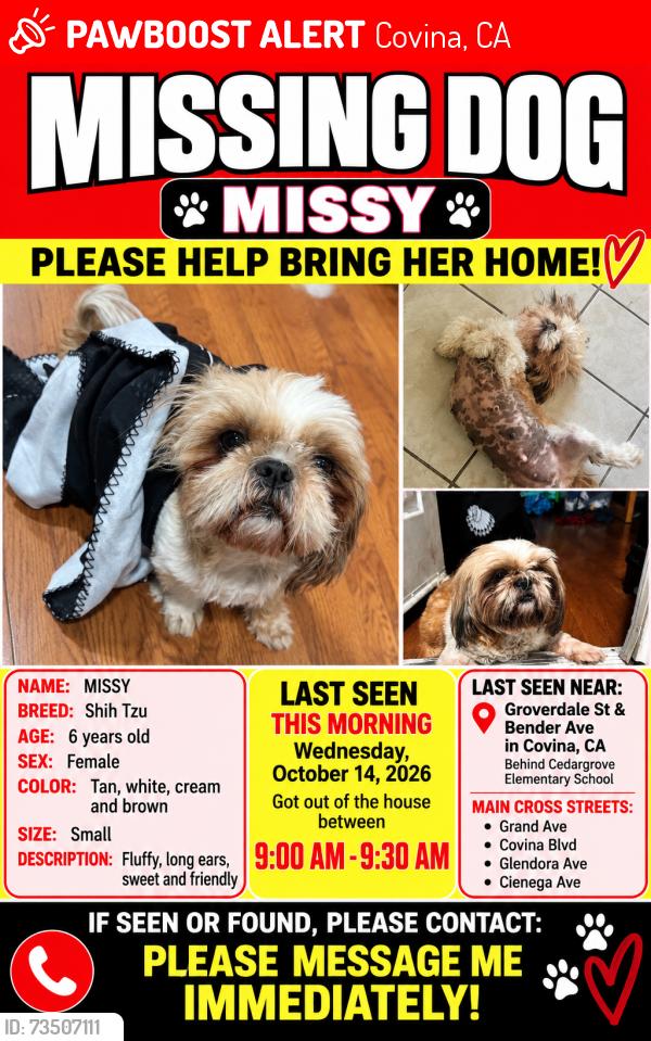 Lost Female Dog last seen Grand Ave. and Covina Blvd, Covina, CA 91724