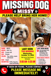 Lost Female Dog last seen Grand Ave. and Covina Blvd, Covina, CA 91724