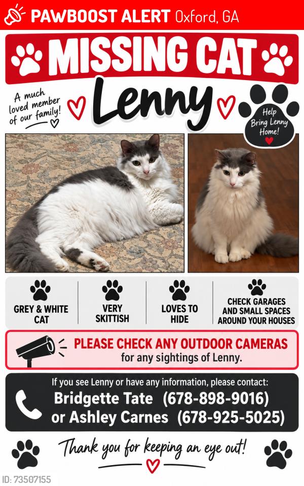 Lost Male Cat last seen Gym Creek Road, Oxford, GA 30054