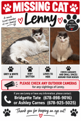 Lost Male Cat last seen Gym Creek Road, Oxford, GA 30054