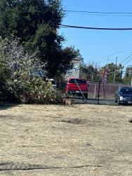 Found/Stray Unknown Dog last seen In the fenced area across from Choice gas station, Sacramento, CA 95820