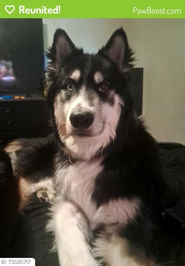 Reunited Male Dog last seen Lorin Farr Park, Ogden, UT 84404
