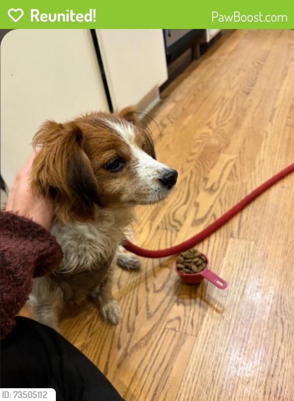 Reunited Female Dog last seen Last seen at 4th & spruce headed East, Boulder, CO 80302
