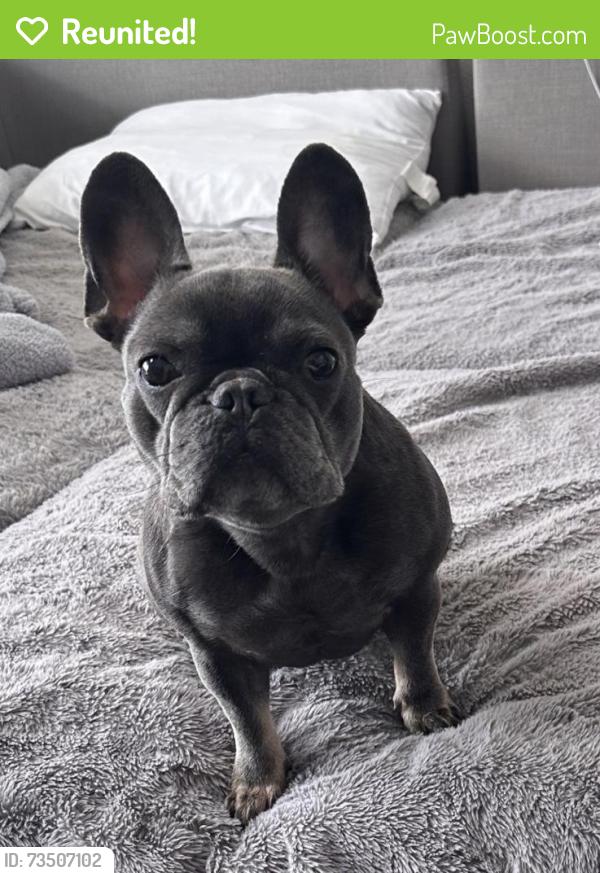 Reunited Female Dog last seen 45th & Maize Rd, Maize, KS 67101