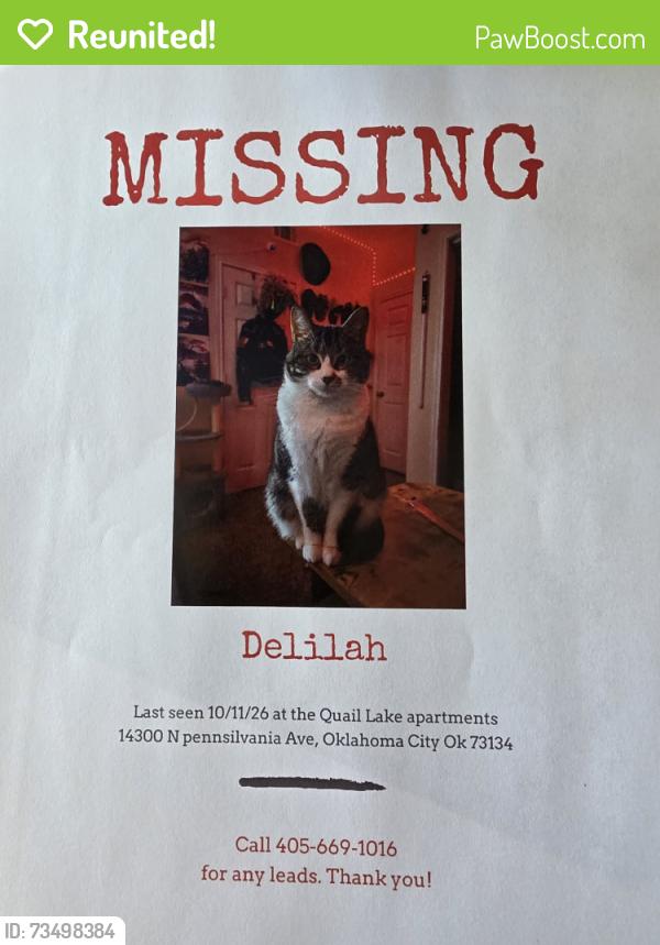 Reunited Female Cat last seen Quail Lake Aprtments, Oklahoma City, OK 73134