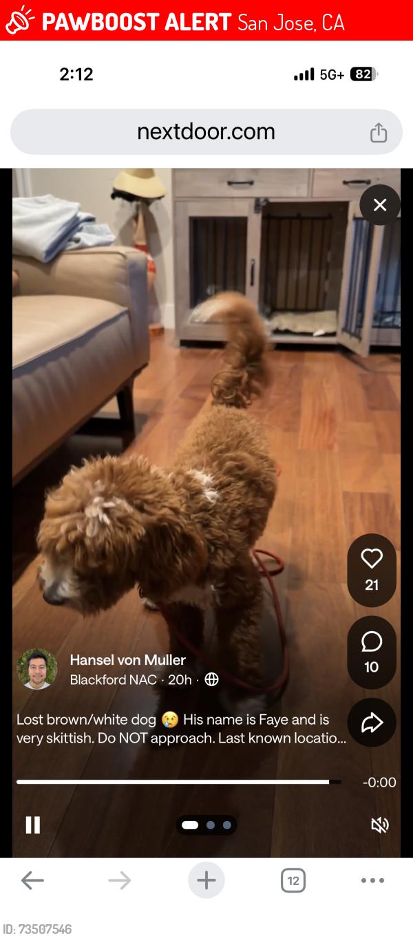 Lost Male Dog last seen Steven creek San Jose, San Jose, CA 95055
