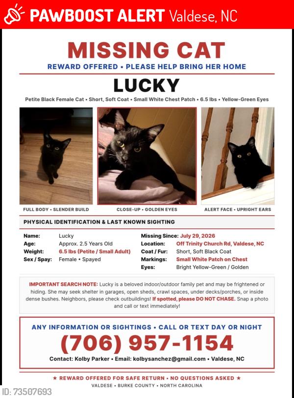 Lost Female Cat last seen Last seen by neighbors on country meadows ln, Valdese, NC 28690
