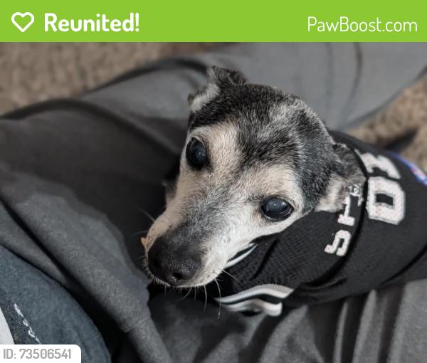 Reunited Male Dog last seen Near Windgate W Rd, Oklahoma City, OK 73179, USA, Oklahoma City, OK 73179