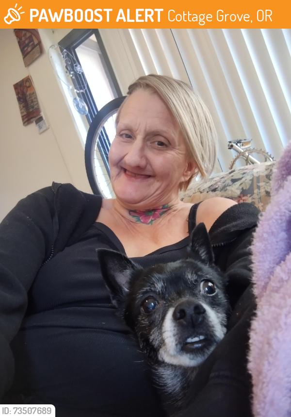 Found/Stray Unknown Dog last seen River rd, Cottage Grove, OR 97424