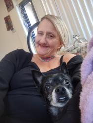 Found/Stray Unknown Dog last seen River rd, Cottage Grove, OR 97424