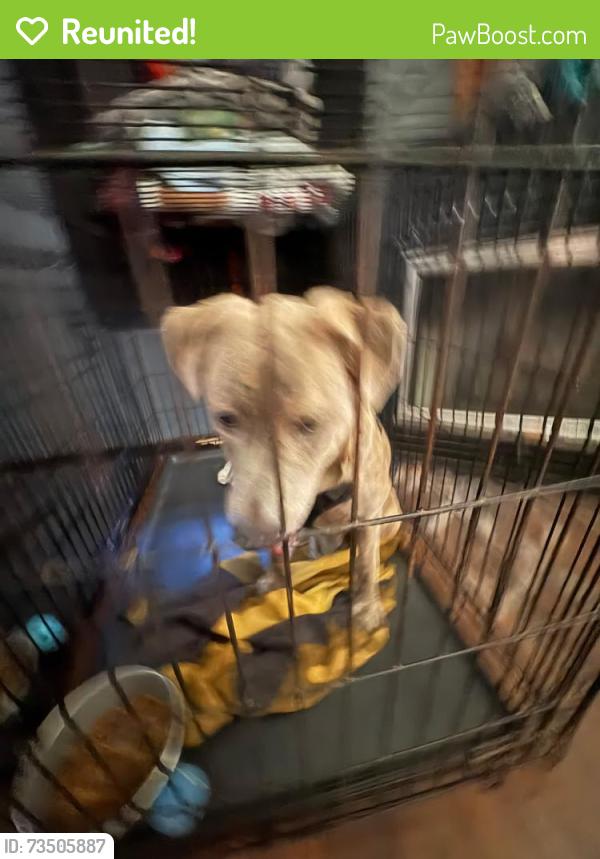 Reunited Male Dog last seen Speedway/City Hall, Jacksonville, NC 28540