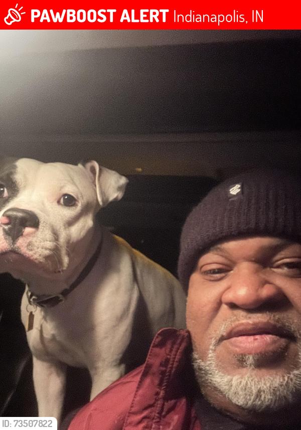 Lost Male Dog last seen my hse, Indianapolis, IN 46204