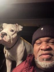 Lost Male Dog last seen my hse, Indianapolis, IN 46204
