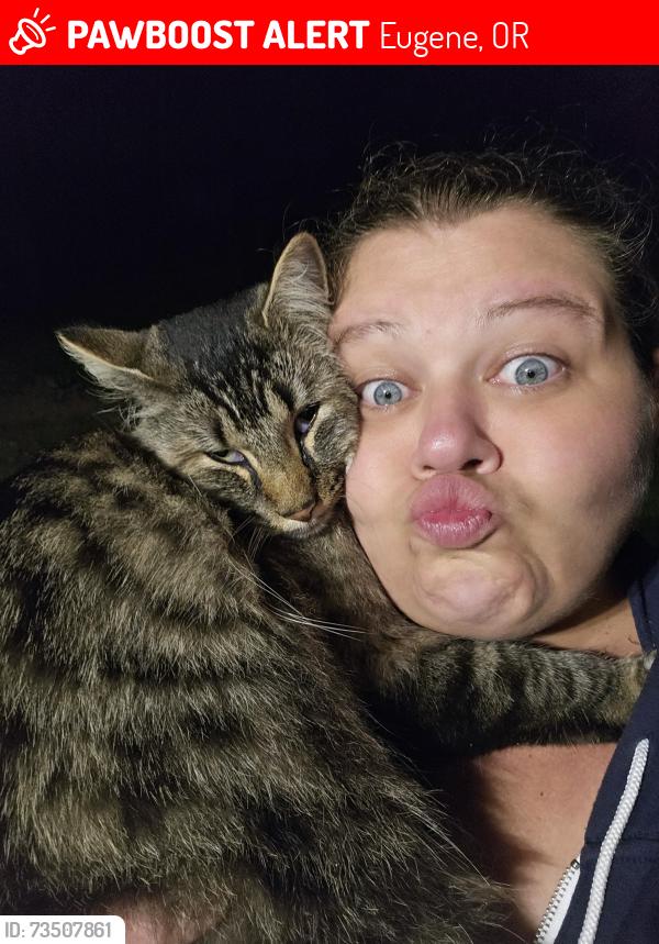 Lost Male Cat last seen River road, Eugene, OR 97404