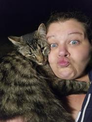 Lost Male Cat last seen River road, Eugene, OR 97404