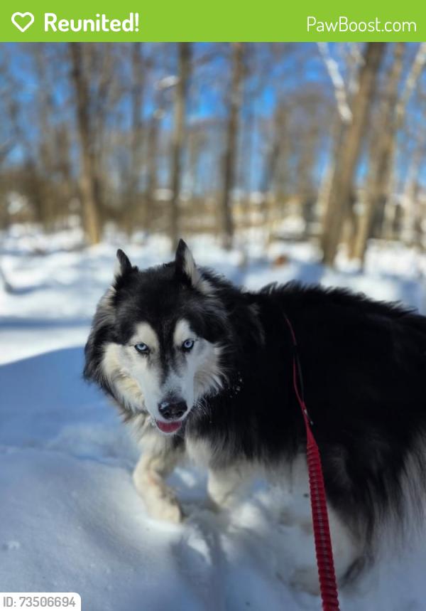 Reunited Male Dog last seen Indianola Avenue and Cooke Road area Columbus, OH 43214, Columbus, OH 43214