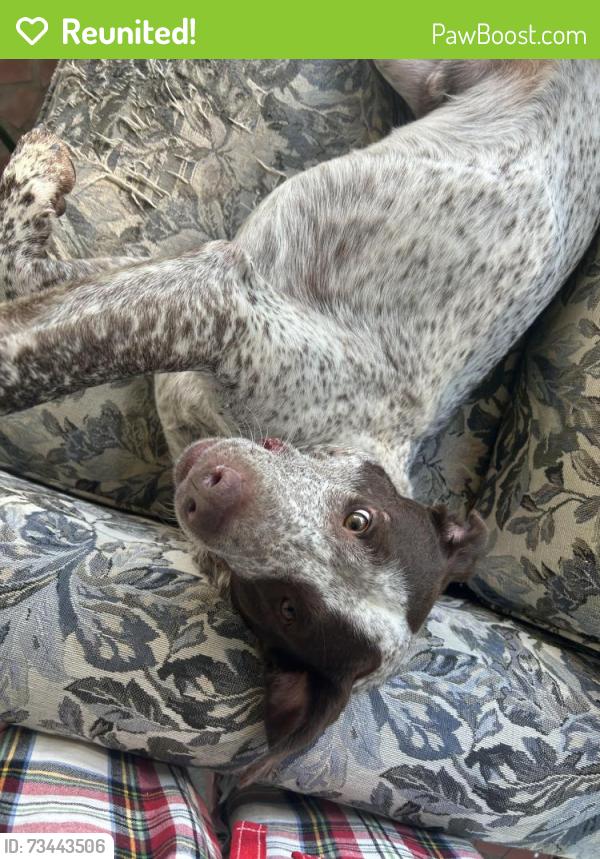 Reunited Male Dog last seen Hwy 215, Union, SC 29379