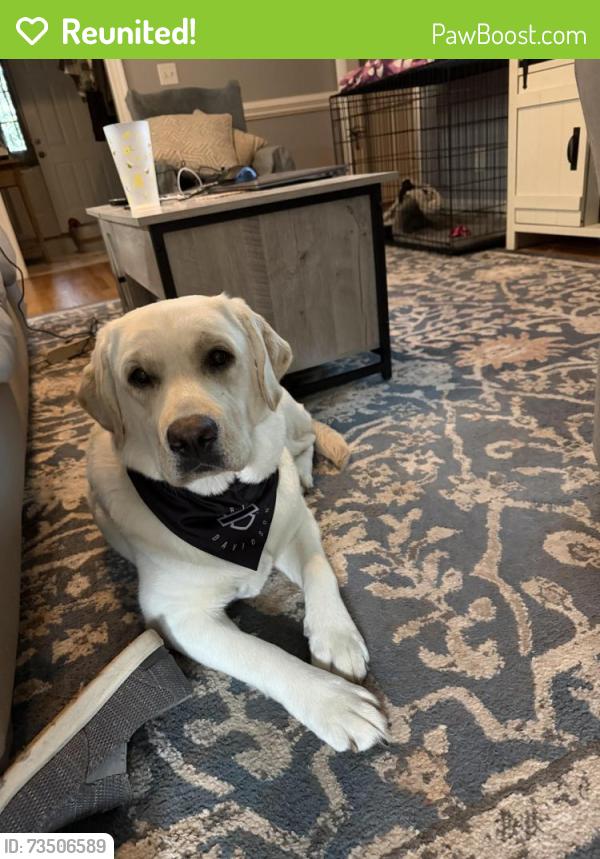Reunited Female Dog last seen Amherst Road, Rocky Mount, NC 27804