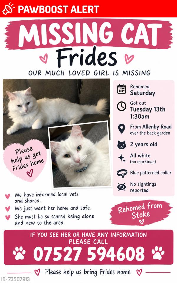 Lost Female Cat last seen Coop, Swinton, England M27 0ES
