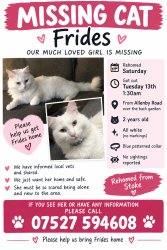 Lost Female Cat last seen Coop, Swinton, England M27 0ES