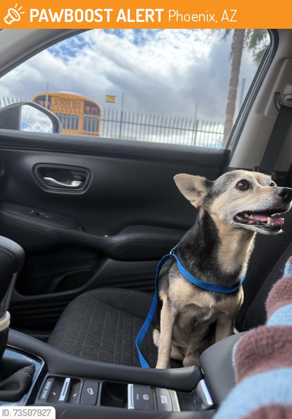 Found/Stray Male Dog last seen Laveen heritage park, Phoenix, AZ 85339
