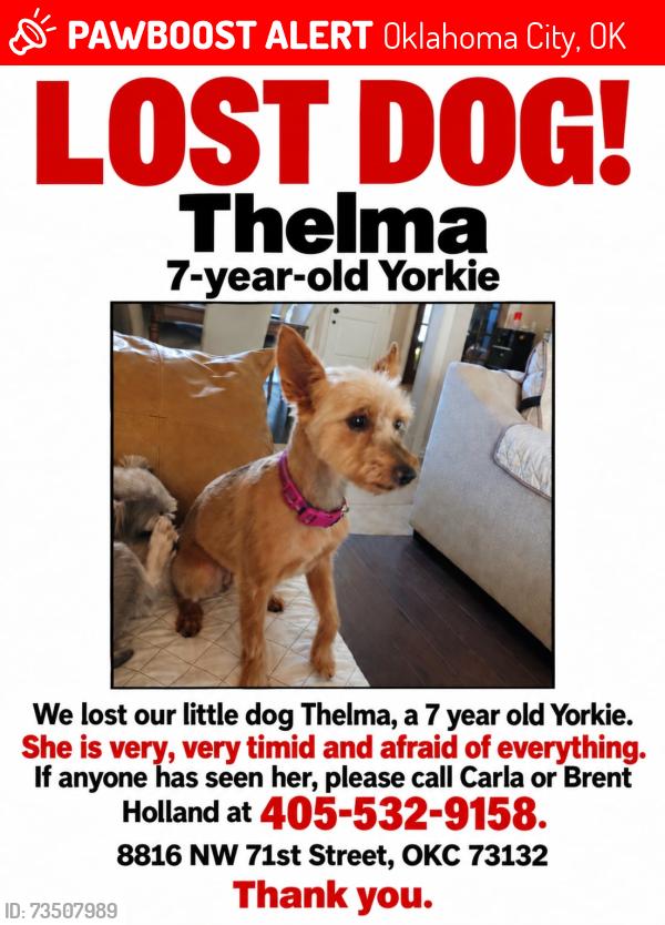 Lost Female Dog last seen Hefner Rd and 105th St near Eagle Lake, Oklahoma City, OK 73102