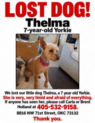Lost Female Dog last seen Hefner Rd and 105th St near Eagle Lake, Oklahoma City, OK 73102