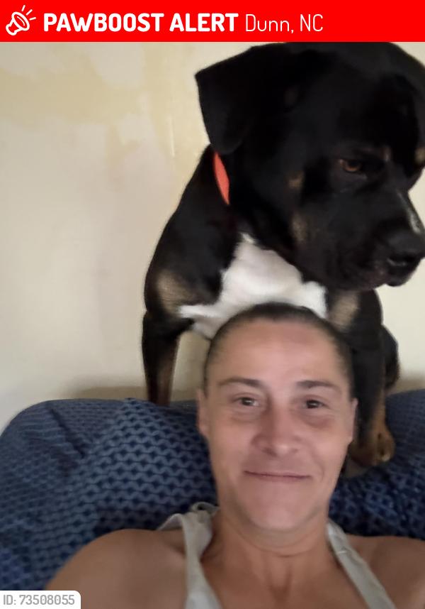 Lost Male Dog last seen Hey 55, Dunn, NC 28334